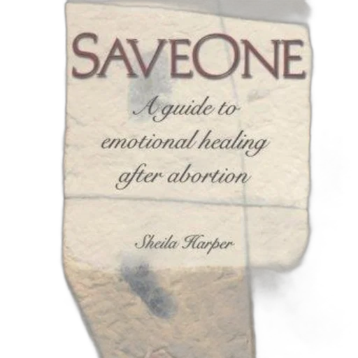 weapon, saveone, guide, emotional, healing, after, abortion, sheila transparent PNG cut-out