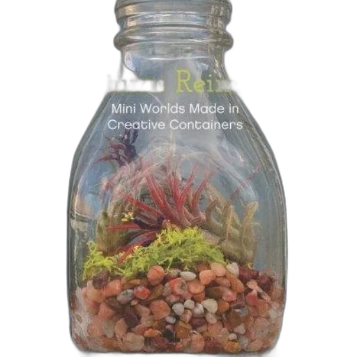 bottle, terrariums, reimagined, mini, worlds, made, creative, containers transparent PNG cut-out