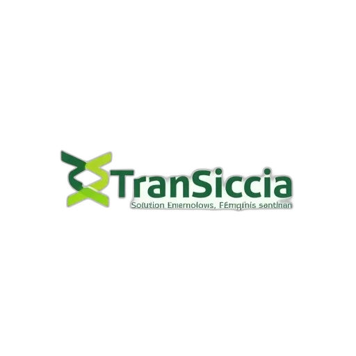 first, image, displays, logo, company, called, transiccia, solutions transparent PNG cut-out