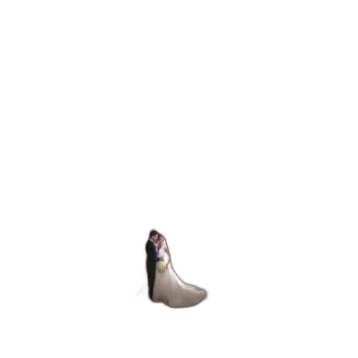 shoes, dress, animal, hat transparent PNG cut-out
