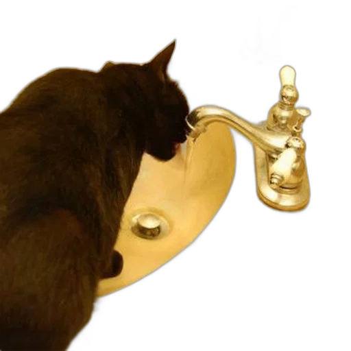 jewelry, staff, crown, bottle, black, cat, drinks, water transparent PNG cut-out