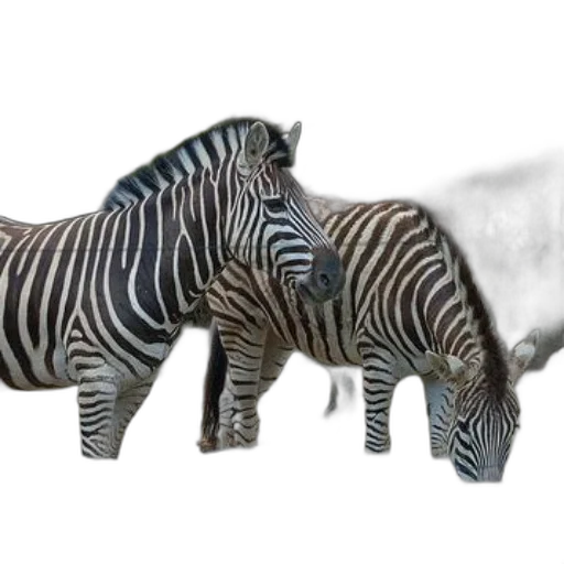 animal, creature, jewelry, weapon, 3d render, photorealistic, concept art, fantasy art transparent PNG cut-out