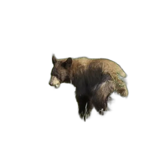 animal, creature, weapon, staff transparent PNG cut-out
