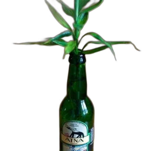 bottle, 3d render, green, word, atna, filled, water, containing transparent PNG cut-out