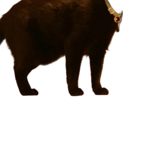 animal, creature, staff, weapon, concept art, 3d render, photorealistic, pixel art transparent PNG cut-out