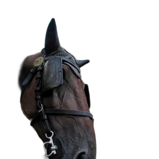 hat, staff, mask, crown, photorealistic, 3d render, concept art, fantasy art transparent PNG cut-out