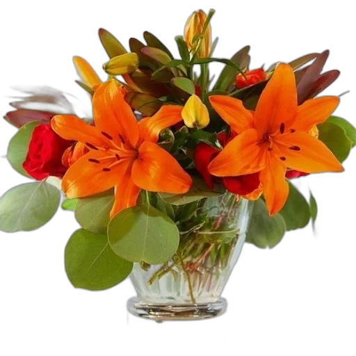 flower, crown, photorealistic, 3d render, vibrant, arrangement, featuring, orange transparent PNG cut-out