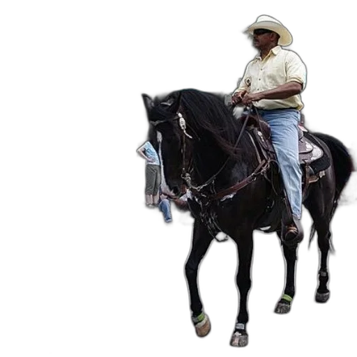 animal, staff, hat, weapon transparent PNG cut-out