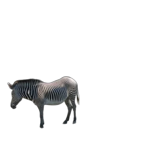animal, creature, furniture, robot, 3d render, concept art, photorealistic, vaporwave transparent PNG cut-out