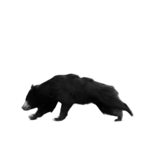 animal, creature, hair, staff, concept art, 3d render, photorealistic, pixel art transparent PNG cut-out