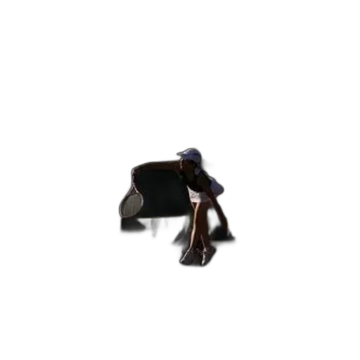 animal, shoes, furniture, staff, 3d render, photorealistic, concept art, tennis transparent PNG cut-out