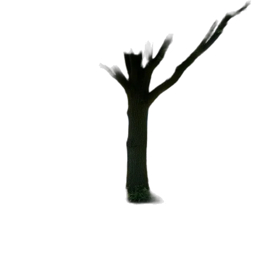tree, staff, crown, hair, concept art, 3d render, pixel art, photorealistic transparent PNG cut-out