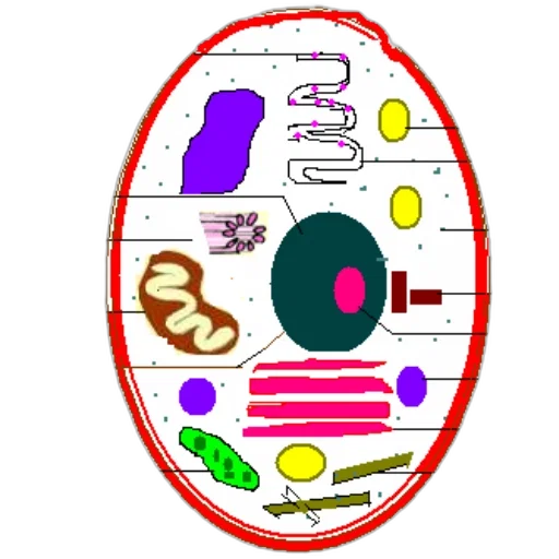jewelry, food, jacket, crown, concept art, pixel art, detailed, diagram transparent PNG cut-out