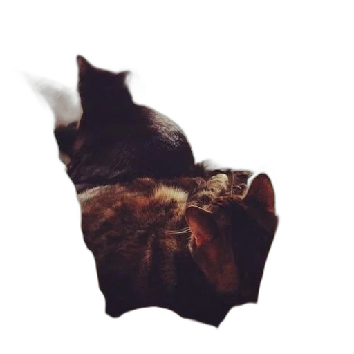 animal, creature, mask, dragon, photorealistic, 3d render, concept art, pixel art transparent PNG cut-out
