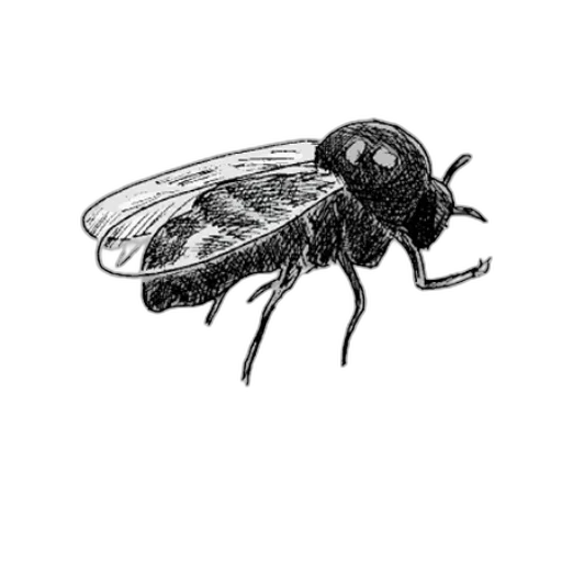 animal, creature, staff, robot, concept art, pencil sketch, photorealistic, 3d render transparent PNG cut-out