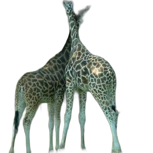 animal, creature, staff, crown, 3d render, concept art, photorealistic, fantasy art transparent PNG cut-out