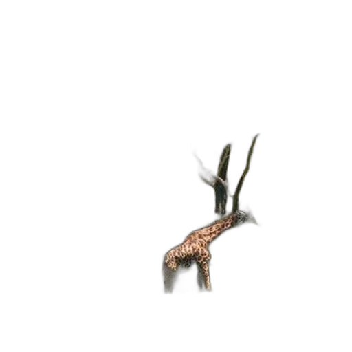 dragon, animal, creature, weapon, 3d render, concept art, photorealistic, pixel art transparent PNG cut-out