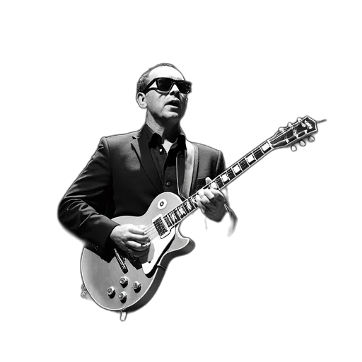 elvis, costello, performing, 2012 transparent PNG cut-out
