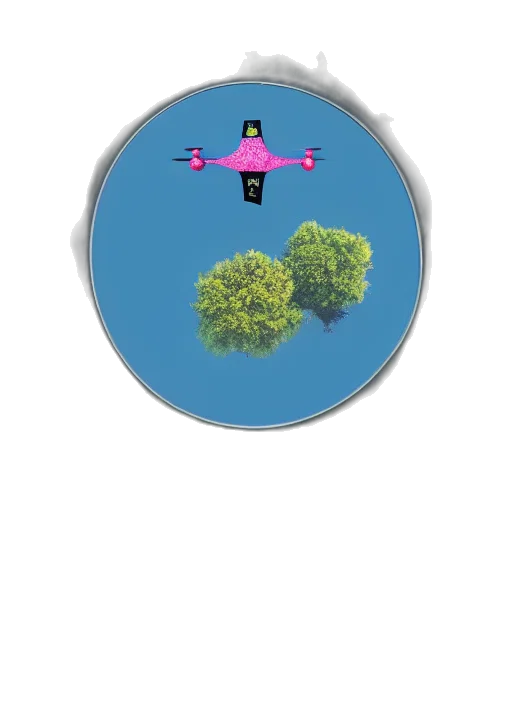 tree, umbrella, jewelry, crown transparent PNG cut-out
