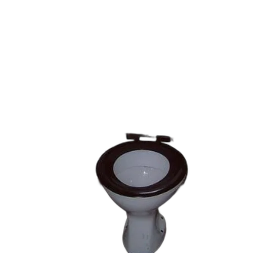 staff, jewelry, furniture, crown, 3d render, white, toilet, brown transparent PNG cut-out
