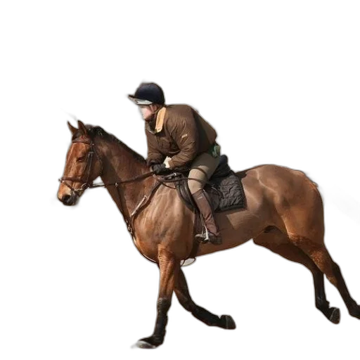 animal, jacket, hat, staff, photorealistic, concept art, pixel art, 3d render transparent PNG cut-out