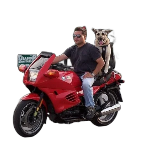 animal, creature, car, jacket, photorealistic, concept art, 3d render, man transparent PNG cut-out