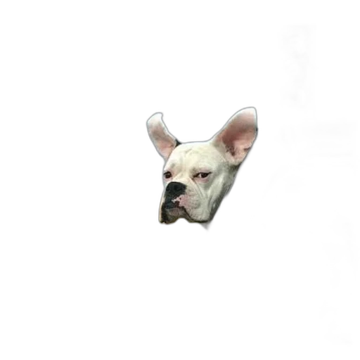 animal, creature, face, staff, photorealistic, 3d render, pixel art, concept art transparent PNG cut-out