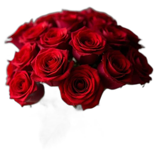 crown, flower, hat, jewelry transparent PNG cut-out