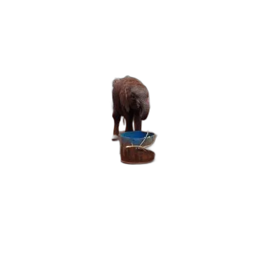 furniture, jewelry, animal, staff transparent PNG cut-out
