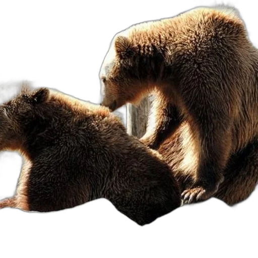 animal, furniture, creature, concept art, photorealistic, 3d render, two, brown transparent PNG cut-out