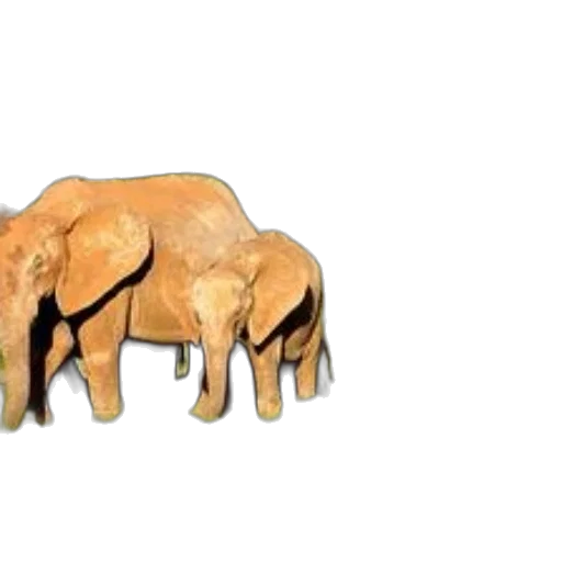 animal, furniture, 3d render, concept art, photorealistic, watercolor, elephants, grassy transparent PNG cut-out