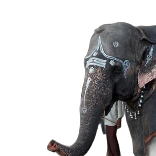 animal, creature, mask, staff, photorealistic, concept art, 3d render, decorated transparent PNG cut-out