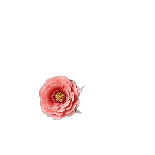 flower, jewelry, crown, hat transparent PNG cut-out