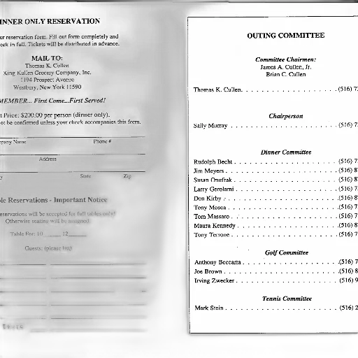 dinner, only, reservation, form, name, committee, chairman, chairperson transparent PNG cut-out
