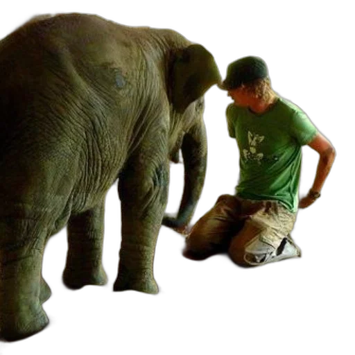 animal, creature, person, green, shirt, hat, kneels, next transparent PNG cut-out