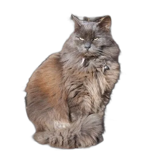 animal, creature, staff, crown, photorealistic, 3d render, fluffy, gray transparent PNG cut-out