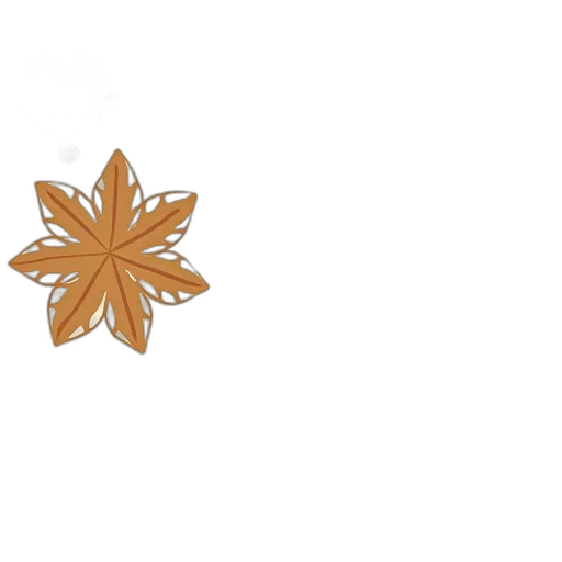 flower, crown, jewelry, umbrella transparent PNG cut-out