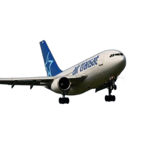 weapon, animal, 3d render, photorealistic, air, transat, airplane, captured transparent PNG cut-out