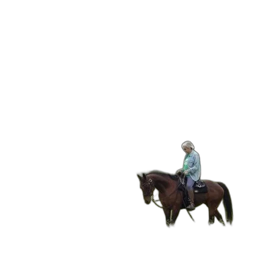 animal, creature, staff, car transparent PNG cut-out