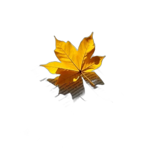 crown, flower, jewelry, staff, 3d render, pixel art, photorealistic, concept art transparent PNG cut-out