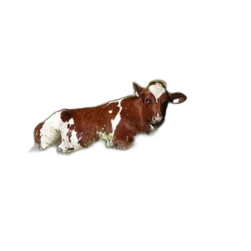 animal, staff, food, creature, 3d render, photorealistic, brown, white transparent PNG cut-out