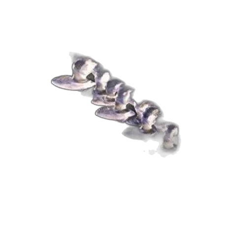 jewelry, crown, shoes, sword, winter, music, poster, featuring transparent PNG cut-out