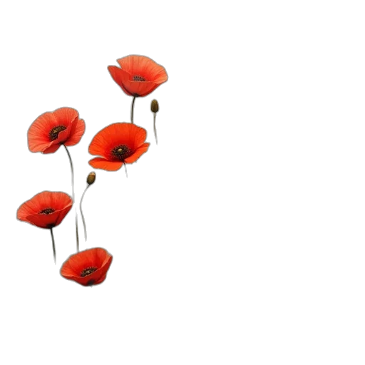 flower, crown, hat, dress, 3d render, concept art, photorealistic, pixel art transparent PNG cut-out
