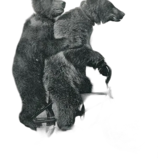 animal, staff, creature, pencil sketch, concept art, photorealistic, two, bears transparent PNG cut-out