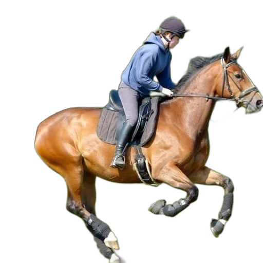staff, animal, jacket, photorealistic, concept art, person, riding, brown transparent PNG cut-out