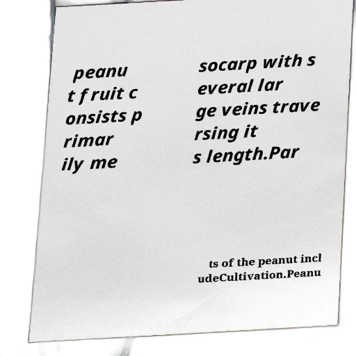 text-based, image, discussing, peanut, fruit, mesocarp, several, large transparent PNG cut-out
