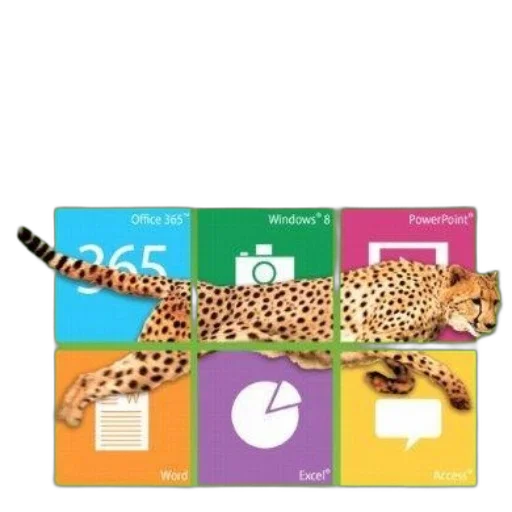 animal, image, promotional, graphic transparent PNG cut-out
