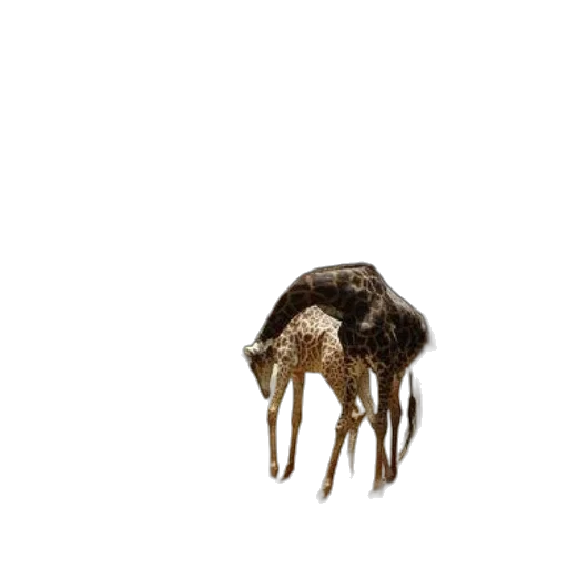 animal, creature, hair, mask, 3d render, concept art, photorealistic, pixel art transparent PNG cut-out