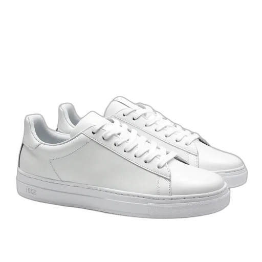 shoes, fred, grand, clean transparent PNG cut-out