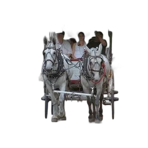 furniture, staff, photorealistic, oil painting, 3d render, concept art, horse-drawn, carriage transparent PNG cut-out